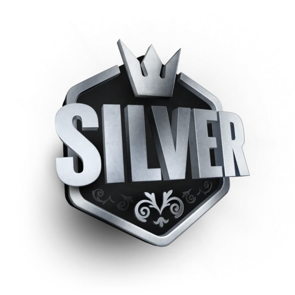 Статус Silver